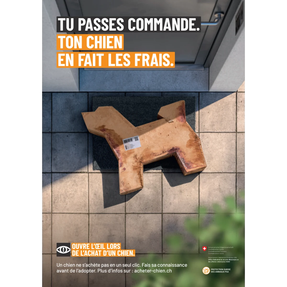 Achat responsable de chiens affiche A4