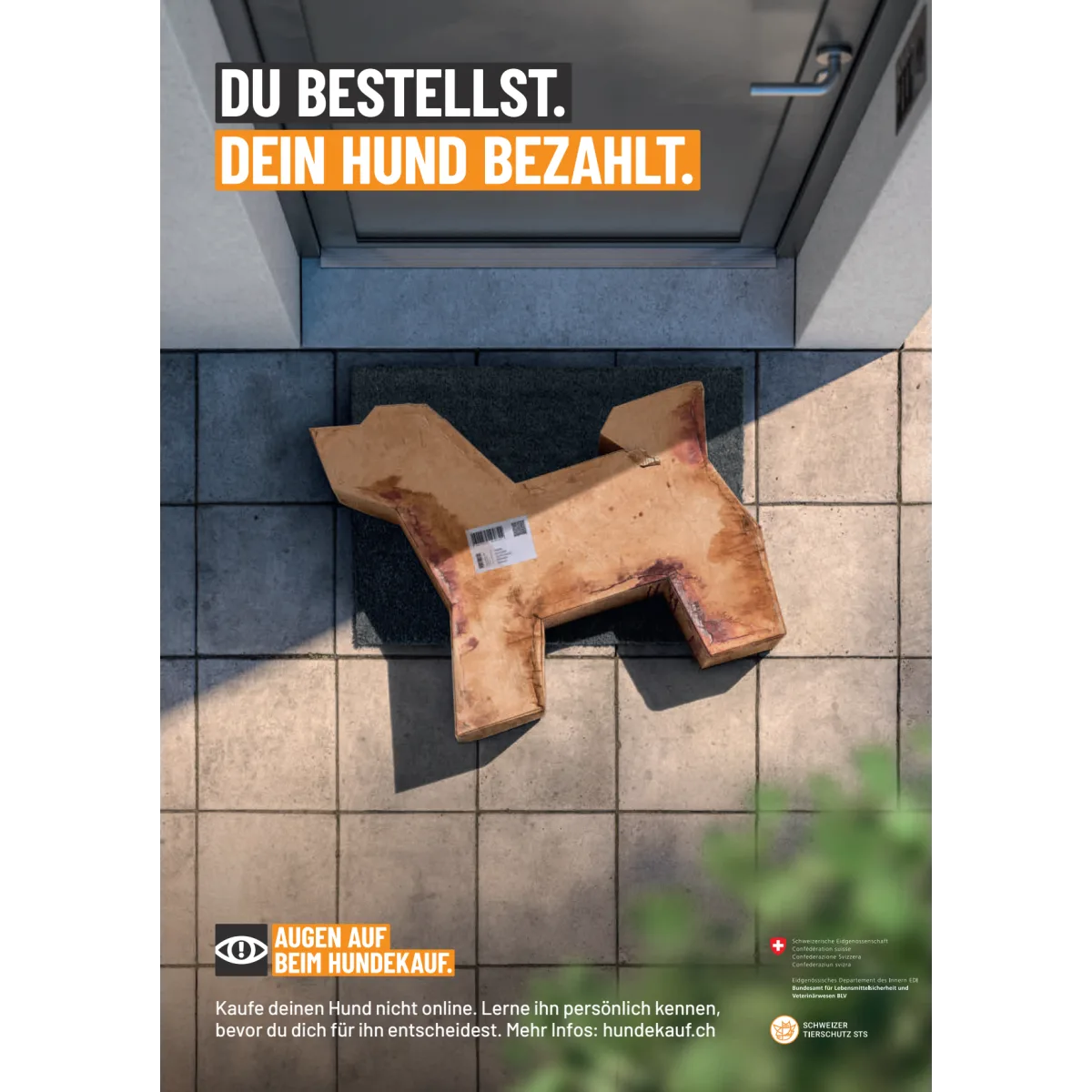 Verantwortungsvoller Hundekauf Poster A2