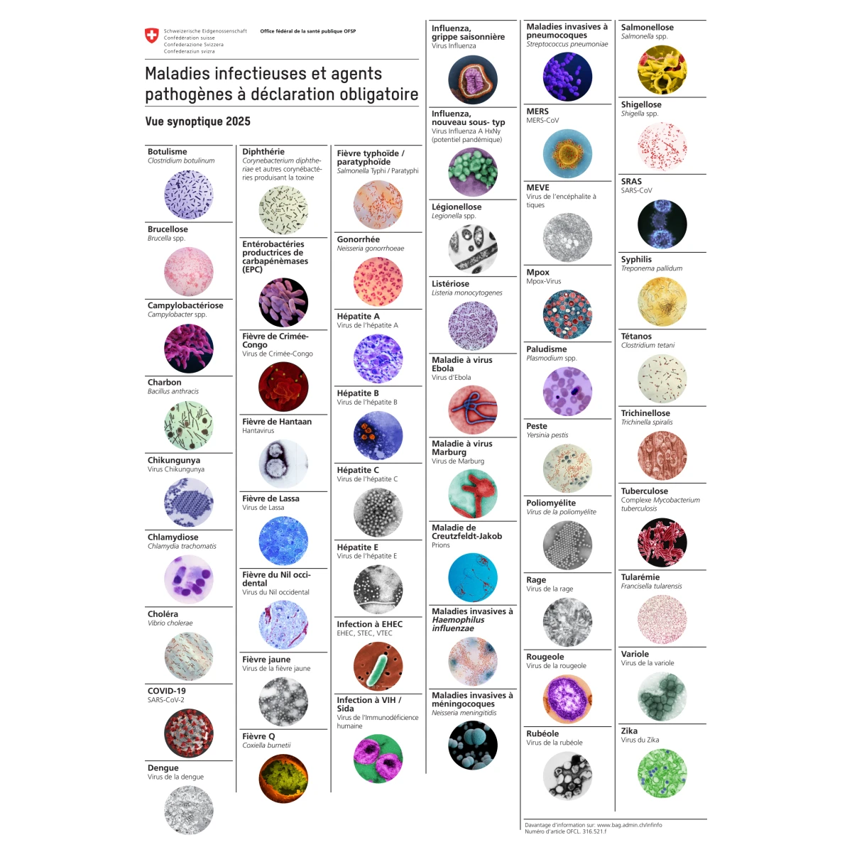 Affiche maladies infectieuses et agents