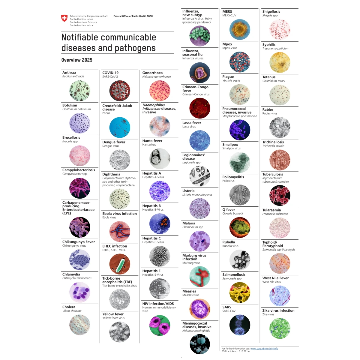 Poster Notifiable communicable diseases