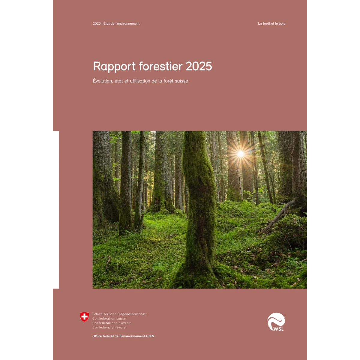 Rapport forestier 2025