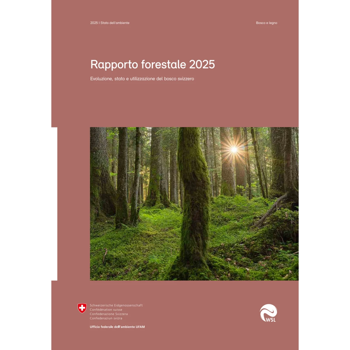 Rapporto forestale 2025
