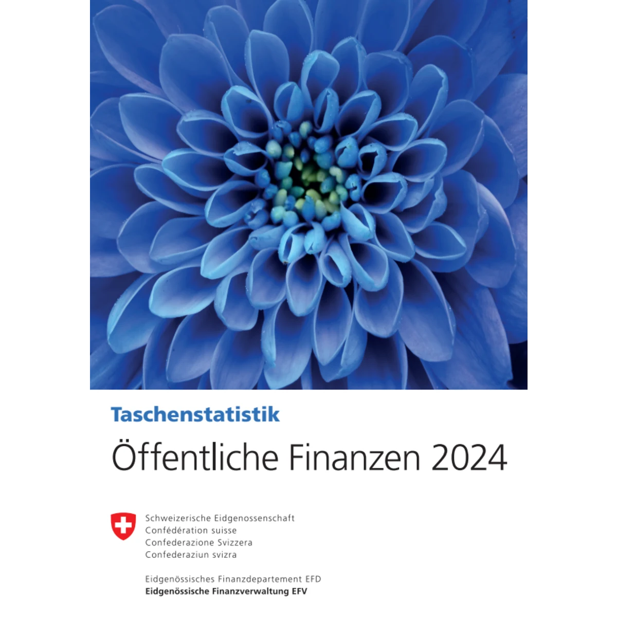 Öffentliche Finanzen 2024