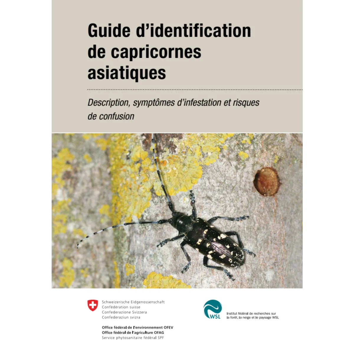Guide identif. de capricornes asiatiques