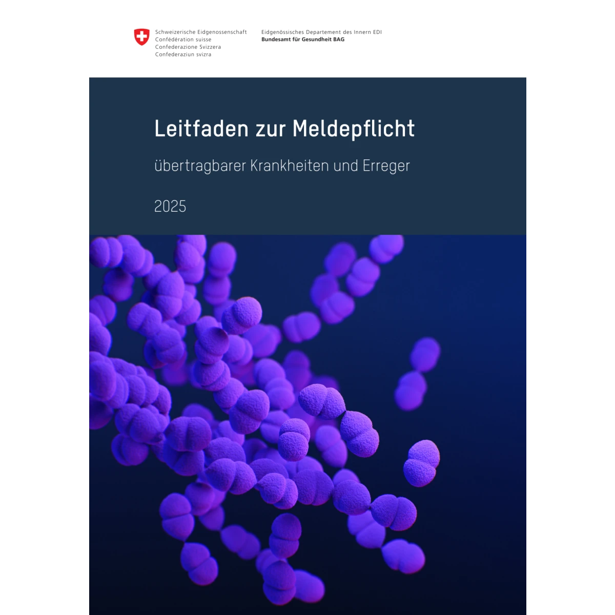 Leitfaden übertragbare Krankheiten 2025