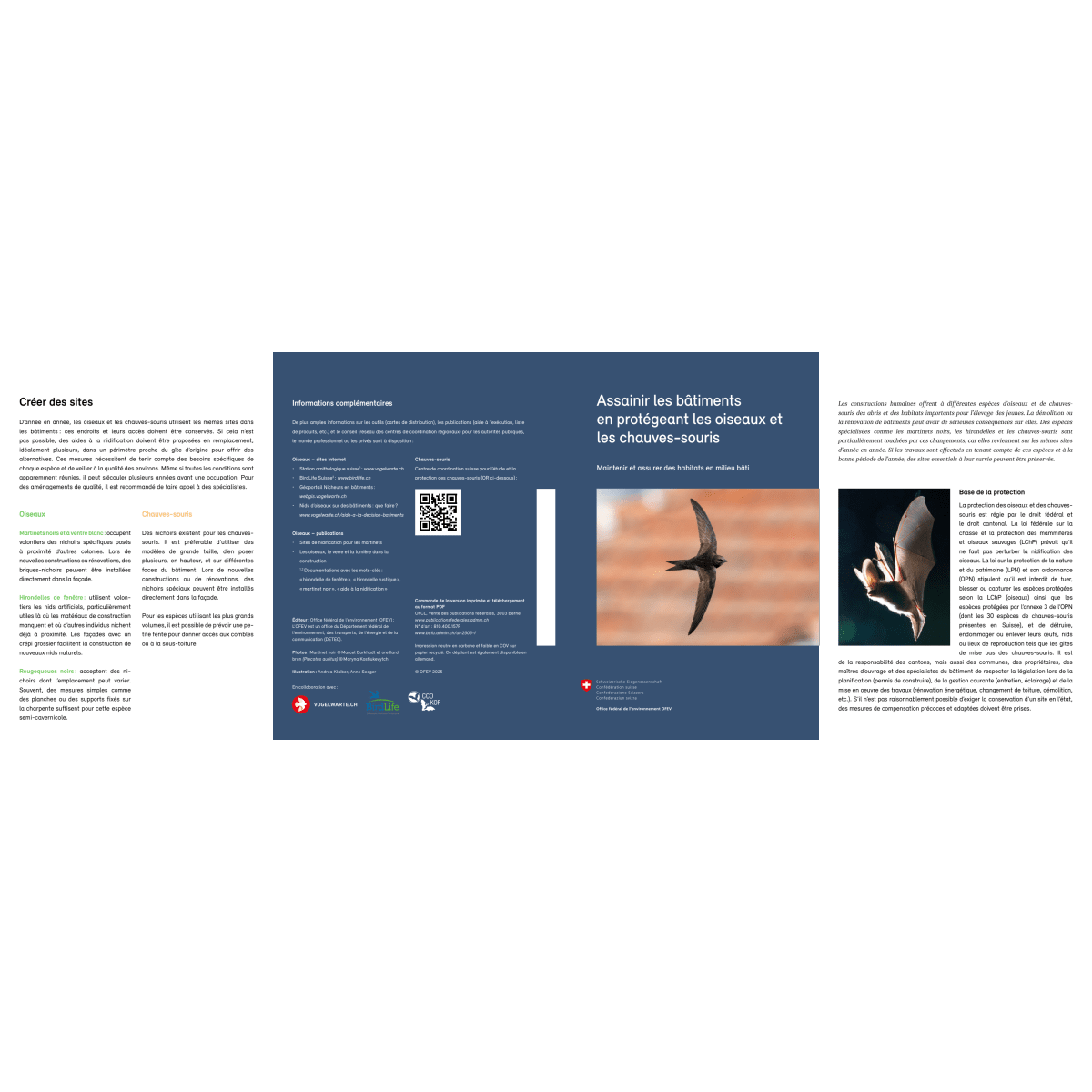 Assainir bâtiments protégeant oiseaux