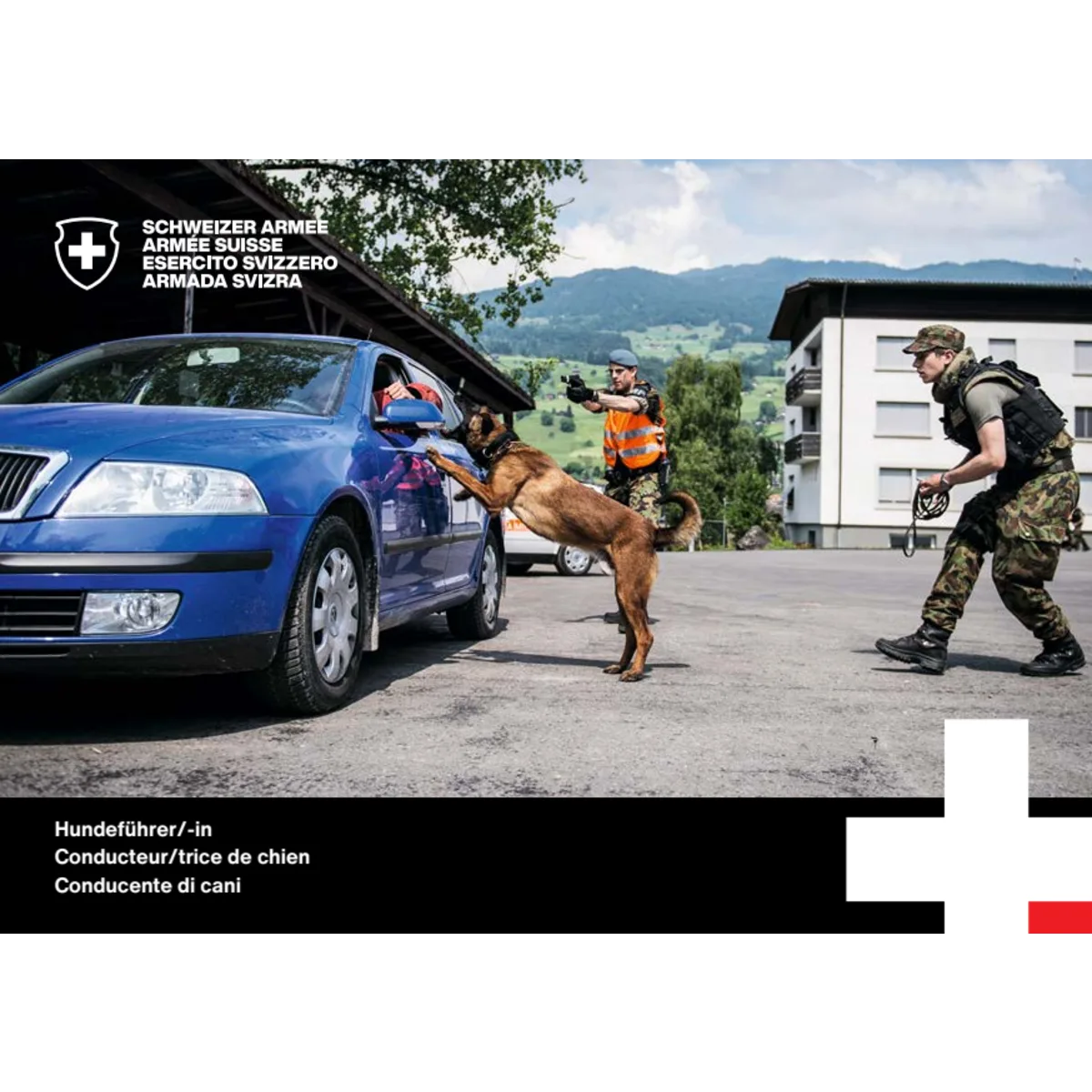 Conducteur/trice de chien carte postale