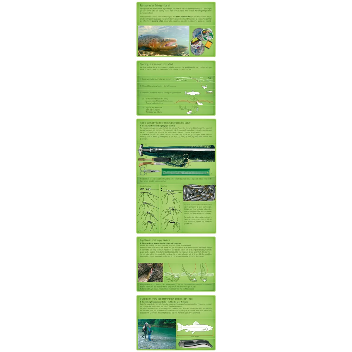 General information on fishing
