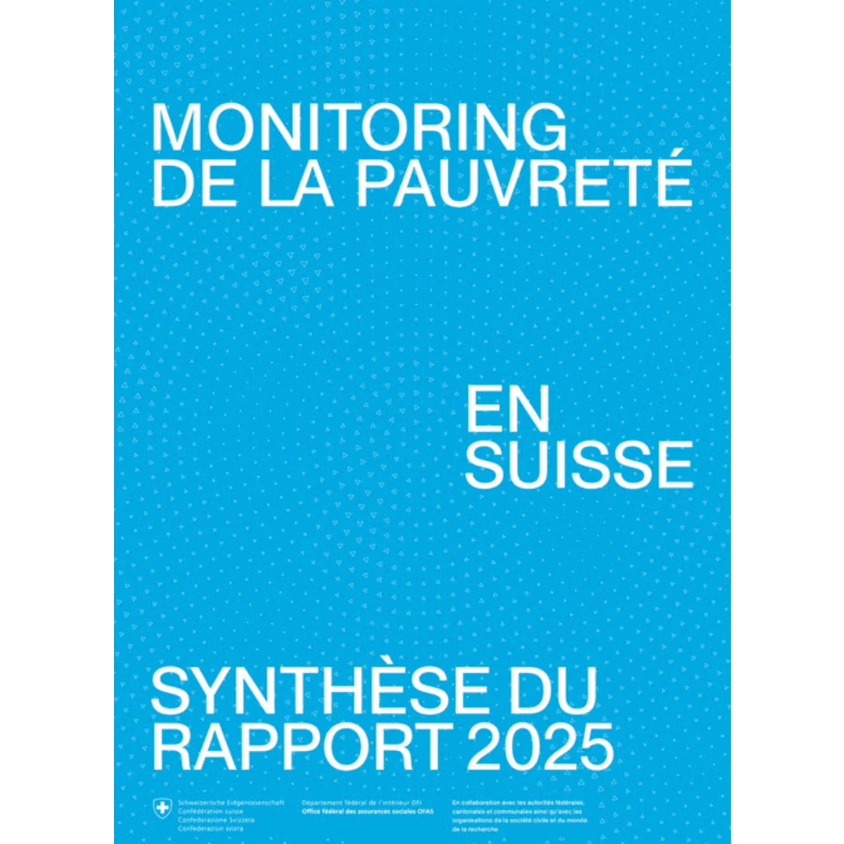 Monitoring pauvreté synthèse 2025