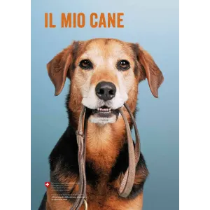 Il mio cane