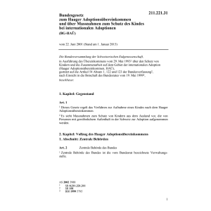 BG Adoptionsüb. Schutz Kindes BG-HAUE