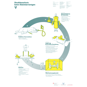 Strahlenschutz beim Kleintierröntgen