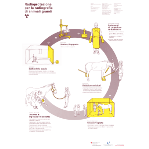 Radioprotezione radiografia animali gran