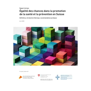 Rapport de base - Égalité des chances