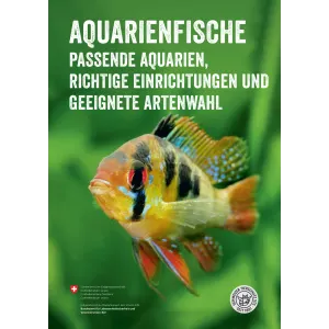 Broschüre Aquarienfische