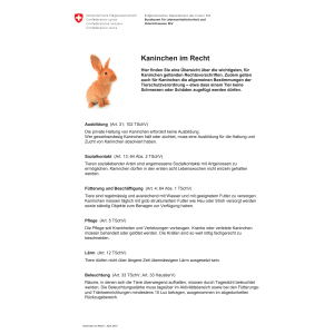 Merkblatt Kaninchen im Recht