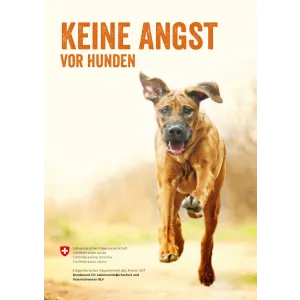 Keine Angst vor Hunden