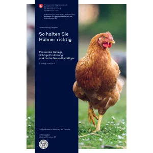 So halten Sie Hühner richtig