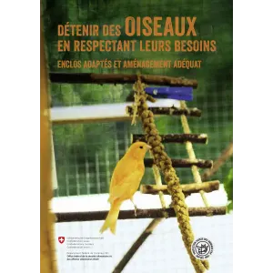 Détenir oiseaux en respectant leurs bes.