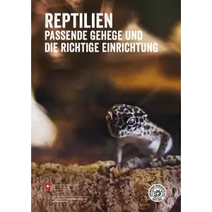Reptilien Passende Gehege Einrichtung