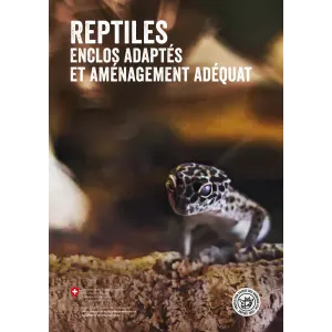 Reptiles enclos adaptés aménagement