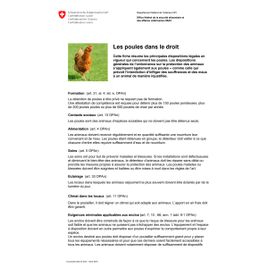 Aide-mémoire Les poules dans le droit