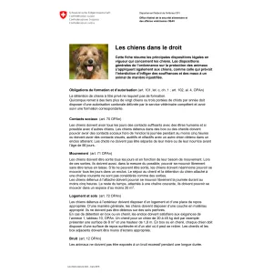 Aide-mémoire Les chiens dans le droit