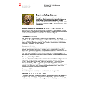 Promemoria Cani nella legge