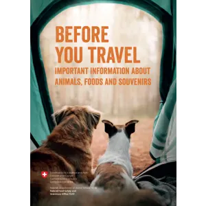 Before you travel