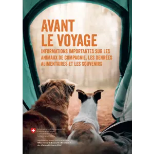 Avant le voyage - les animaux