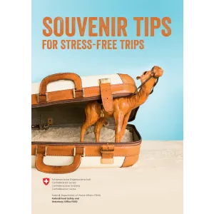 Souvenir Tips for stress-free trips