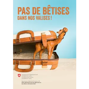 Pas de bêtises dans nos valises!