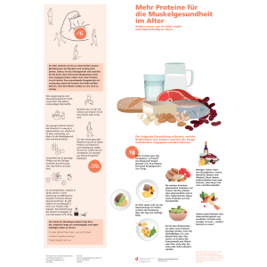 Mehr Proteine für die Muskelgesundheit