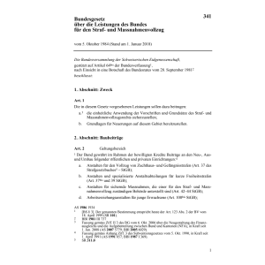 BG Straf- und Massnahmevollzug, LSMG