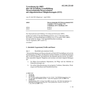 V SBFI Messerschmiedin/Messerschm. EFZ