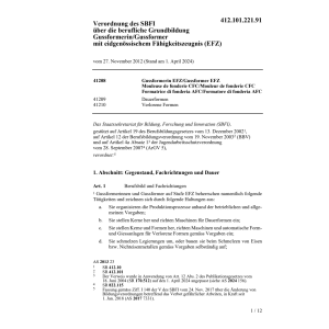 V SBFI Gussformerin/Gussformer EFZ