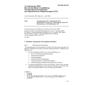 V SBFI Netzelektrikerin/Netzelekt. EFZ