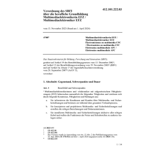 V SBFI Multimediaelektronikerin/er EFZ