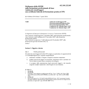 O SEFRI Autista di veicoli leggeri CFP