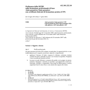 O SEFRI Aiuto gessatore/gessatrice CFP