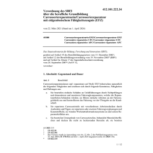 V SBFI Carrosseriereparateur/in (EFZ)