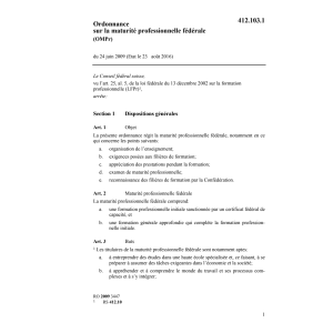 O maturité professionnelle OMPr