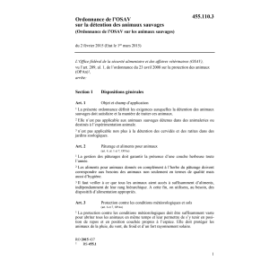 O OSAV animaux sauvages