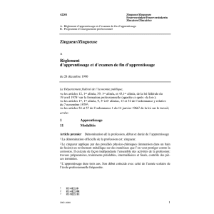 R d'apprentissage, Zingueur/euse