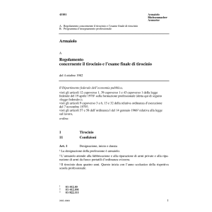Regolamento tirocinio, Armaiolo
