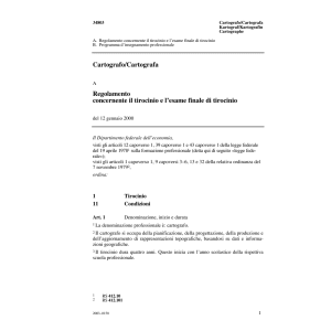 R tirocinio, Cartografo