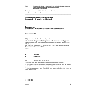 R Costruttore/Costruttrice di plastici