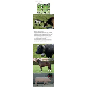 Farm animal genetic resourc. Switzerland