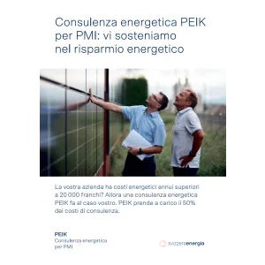 Consulenza energetica PEIK per PMI