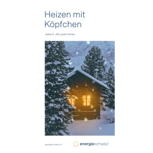 Heizen mit Köpfchen